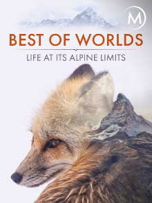 Best of Worlds: Life at its Alpine Limits Trailer