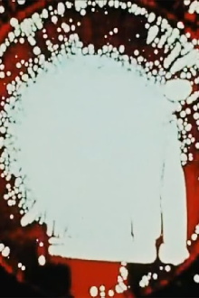 Between Trailer