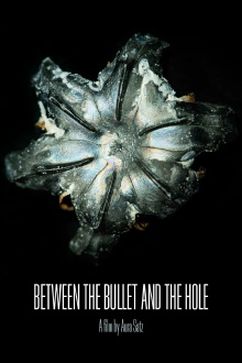 Between the Bullet and the Hole Trailer