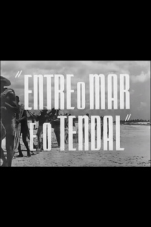 Between the Sea and the Fish Line Trailer