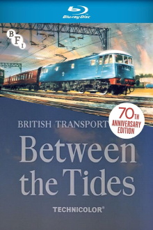 Between the Tides Trailer
