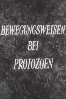 Bewegungsweisen bei Protozoen Trailer