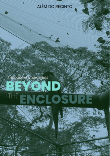 Beyond the Enclosure Trailer