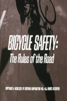 Bicycle Safety: The Rules of the Road Trailer