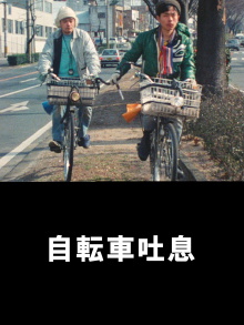 Bicycle Sighs Trailer