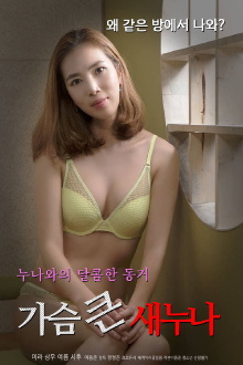 Big Breasts Sister Trailer