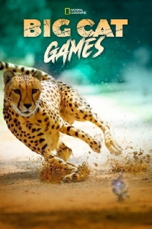 Big Cat Games Trailer