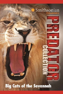 Big Cats of the Savannah Trailer
