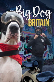 Big Dog Britain Trailer