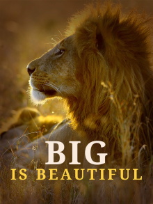 Big is Beautiful Trailer