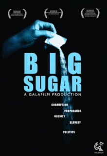 Big Sugar Trailer