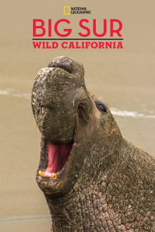 Big Sur: Wild California Trailer