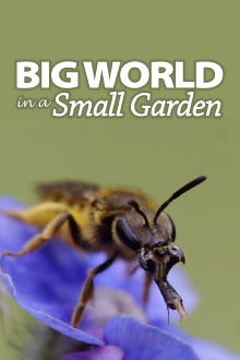 Big World In A Small Garden Trailer