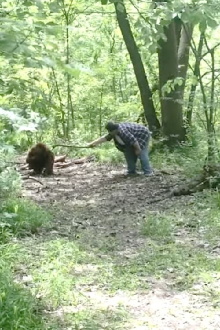 Bigfoot Trailer