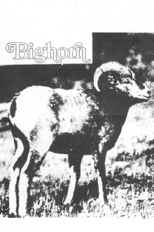 Bighorn Trailer