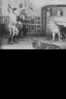 Bill and the Lions Trailer
