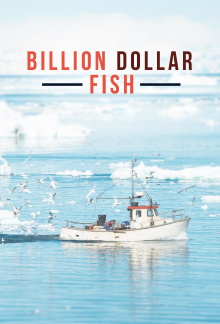 Billion Dollar Fish Trailer