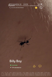 Billy Boy Trailer