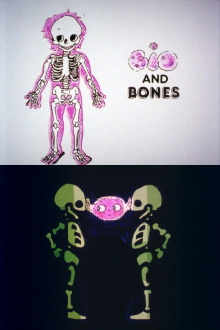 Bio and Bones Trailer
