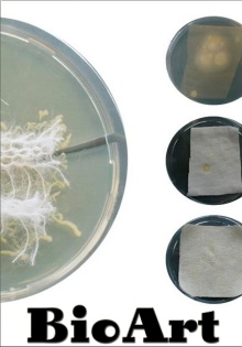 bioArt - Art From the Laboratory Trailer