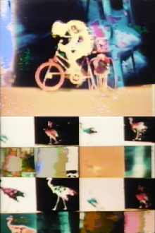 Biological Cycle No. 3 Trailer