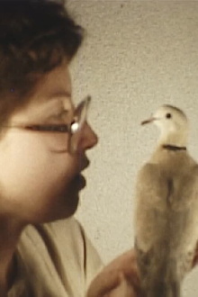 Bird Trailer