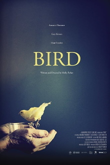 Bird Trailer