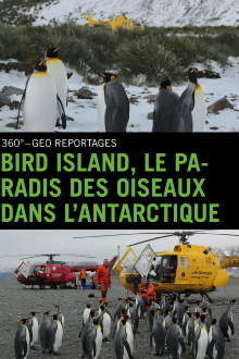 Bird Island - Allein unter Pinguinen Trailer