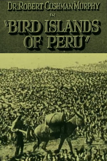Bird Islands of Peru Trailer