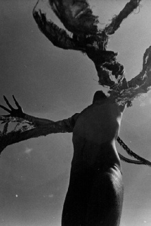 Bird-Man Trailer