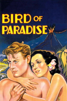 Bird of Paradise Trailer