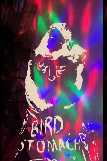 Bird Stomach Trailer