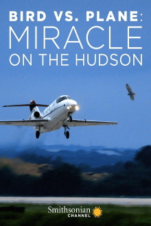 Bird vs. Plane: Miracle on the Hudson Trailer