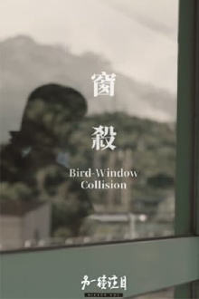 Bird-Window Collisions Trailer