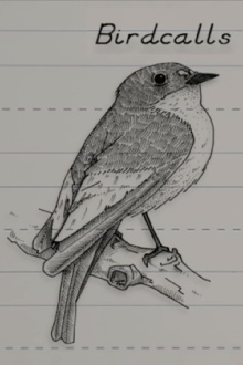 Birdcalls Trailer