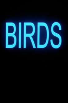 Birds Trailer