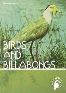 Birds and Billabongs Trailer