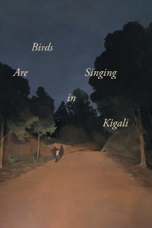 Birds Are Singing in Kigali Trailer