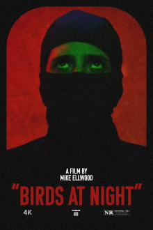 Birds at Night Trailer