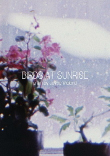 Birds at Sunrise Trailer
