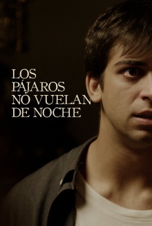 Birds Don’t Fly at Night Trailer