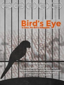 Bird's Eye Trailer