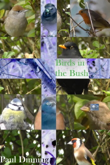 Birds in the Bush Trailer