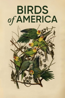 Birds of America Trailer