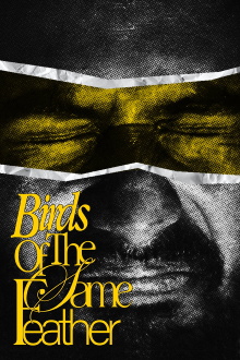 Birds Of The Same Feather. Trailer