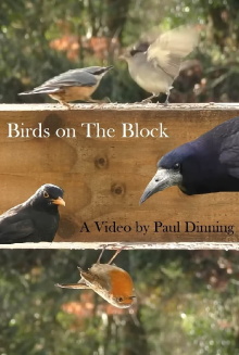 Birds on The Block Trailer