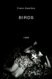 Birds, One Trailer