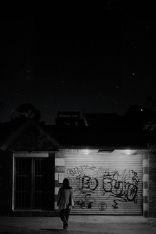 Birds sing at night Trailer