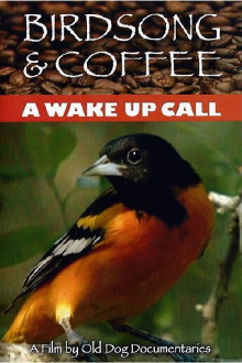 Birdsong and Coffee: A Wake-Up Call Trailer