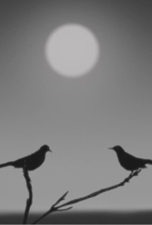 Birdsong Trailer